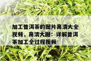 加工普洱茶的图片高清大全视频，高清大图：详解普洱茶加工全过程视频