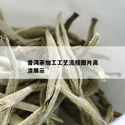 普洱茶加工工艺流程图片高清展示