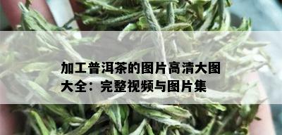 加工普洱茶的图片高清大图大全：完整视频与图片集