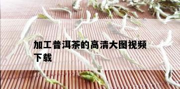 加工普洱茶的高清大图视频下载