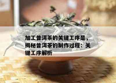 加工普洱茶的关键工序是，揭秘普洱茶的制作过程：关键工序解析