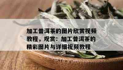 加工普洱茶的图片欣赏视频教程，观赏：加工普洱茶的精彩图片与详细视频教程