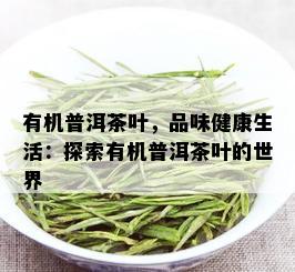 有机普洱茶叶，品味健康生活：探索有机普洱茶叶的世界