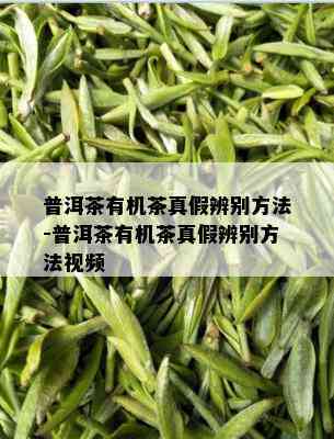 普洱茶有机茶真假辨别方法-普洱茶有机茶真假辨别方法视频