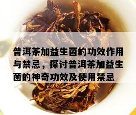 普洱茶加益生菌的功效作用与禁忌，探讨普洱茶加益生菌的神奇功效及使用禁忌