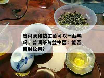 普洱茶和益生菌可以一起喝吗，普洱茶与益生菌：能否同时饮用？