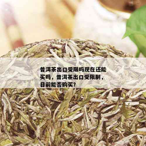 普洱茶出口受限吗现在还能买吗，普洱茶出口受限制，目前能否购买？