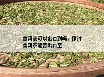 普洱茶可以出口到吗，探讨普洱茶能否出口至