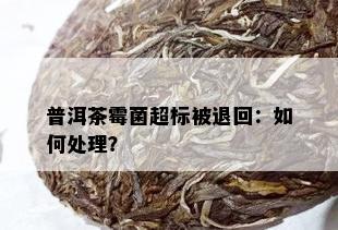 普洱茶霉菌超标被退回：如何处理？