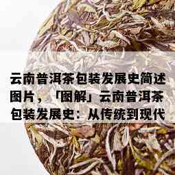 云南普洱茶包装发展史简述图片，「图解」云南普洱茶包装发展史：从传统到现代