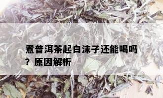 煮普洱茶起白沫子还能喝吗？原因解析