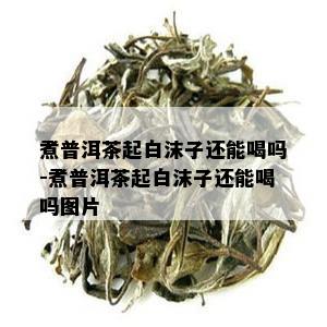 煮普洱茶起白沫子还能喝吗-煮普洱茶起白沫子还能喝吗图片