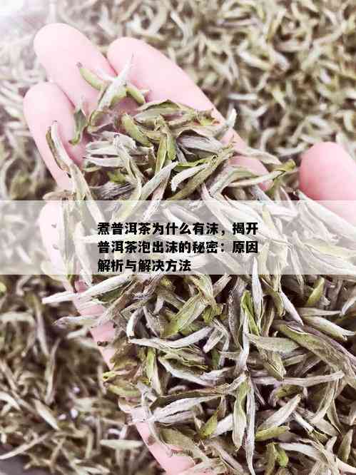 煮普洱茶为什么有沫，揭开普洱茶泡出沫的秘密：原因解析与解决方法