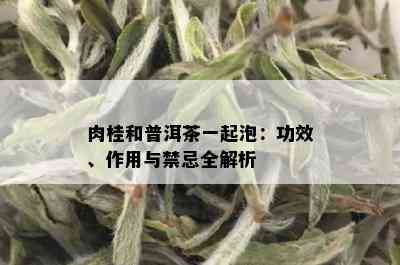 肉桂和普洱茶一起泡：功效、作用与禁忌全解析