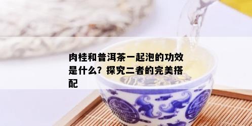 肉桂和普洱茶一起泡的功效是什么？探究二者的完美搭配