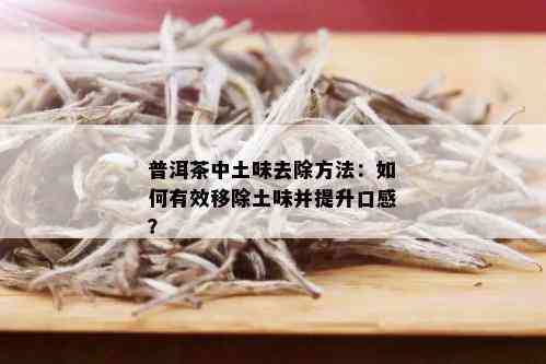 普洱茶中土味去除方法：如何有效移除土味并提升口感？