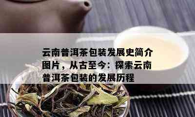 云南普洱茶包装发展史简介图片，从古至今：探索云南普洱茶包装的发展历程