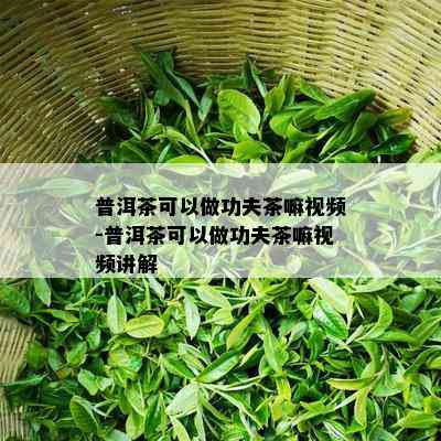 普洱茶可以做功夫茶嘛视频-普洱茶可以做功夫茶嘛视频讲解