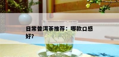 日常普洱茶推荐：哪款口感好？