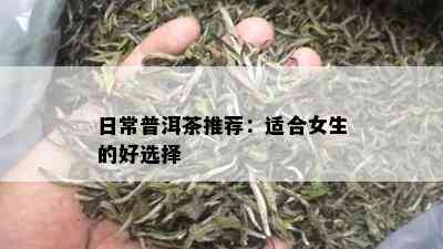 日常普洱茶推荐：适合女生的好选择