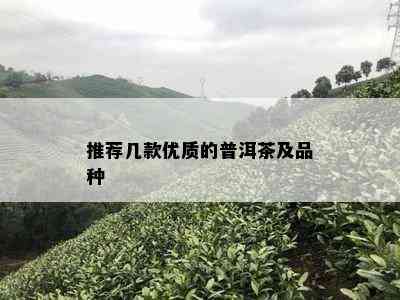 推荐几款优质的普洱茶及品种