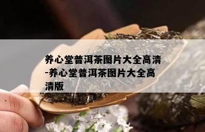 养心堂普洱茶图片大全高清-养心堂普洱茶图片大全高清版