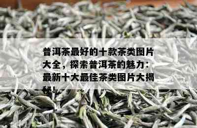 普洱茶更好的十款茶类图片大全，探索普洱茶的魅力：最新十大更佳茶类图片大揭秘！