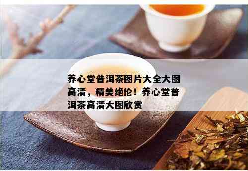 养心堂普洱茶图片大全大图高清，精美绝伦！养心堂普洱茶高清大图欣赏