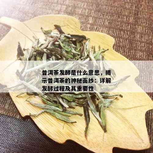 普洱茶发酵是什么意思，揭示普洱茶的神秘面纱：详解发酵过程及其重要性