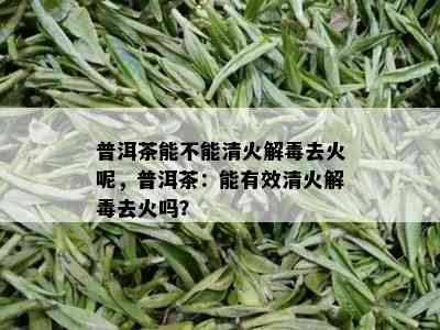 普洱茶能不能清火解去火呢，普洱茶：能有效清火解去火吗？