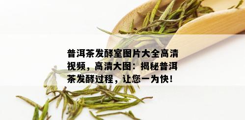 普洱茶发酵室图片大全高清视频，高清大图：揭秘普洱茶发酵过程，让您一为快！