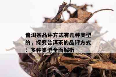 普洱茶品评方式有几种类型的，探究普洱茶的品评方式：多种类型全面解析