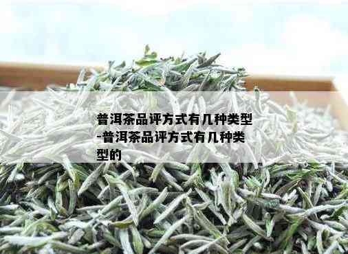 普洱茶品评方式有几种类型-普洱茶品评方式有几种类型的