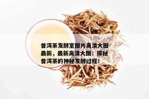 普洱茶发酵室图片高清大图最新，最新高清大图：探秘普洱茶的神秘发酵过程！