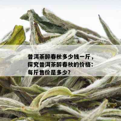 普洱茶醉春秋多少钱一斤，探究普洱茶醉春秋的价格：每斤售价是多少？