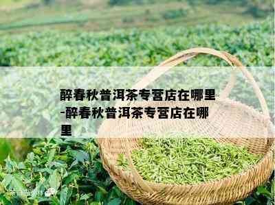 醉春秋普洱茶专营店在哪里-醉春秋普洱茶专营店在哪里