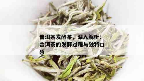 普洱茶发酵茶，深入解析：普洱茶的发酵过程与独特口感