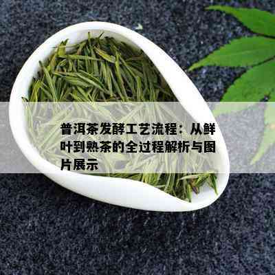 普洱茶发酵工艺流程：从鲜叶到熟茶的全过程解析与图片展示