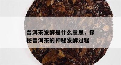 普洱茶发酵是什么意思，探秘普洱茶的神秘发酵过程