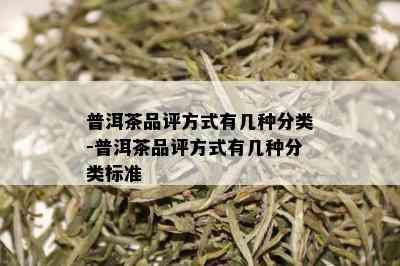 普洱茶品评方式有几种分类-普洱茶品评方式有几种分类标准