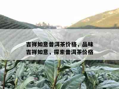 吉祥如意普洱茶价格，品味吉祥如意，探索普洱茶价格