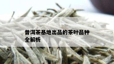 普洱茶基地出品的茶叶品种全解析