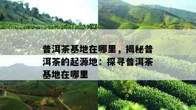 普洱茶基地在哪里，揭秘普洱茶的起源地：探寻普洱茶基地在哪里