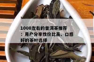 1000左右的普洱茶推荐：用户分享性价比高、口感好的茶叶选择