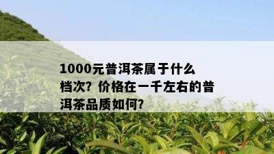 1000元普洱茶属于什么档次？价格在一千左右的普洱茶品质如何？