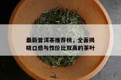 最新普洱茶推荐榜，全面揭晓口感与性价比双高的茶叶