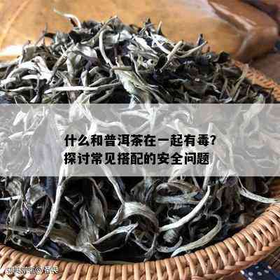 什么和普洱茶在一起有？探讨常见搭配的安全问题