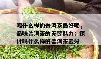 喝什么样的普洱茶更好呢，品味普洱茶的无穷魅力：探讨喝什么样的普洱茶更好