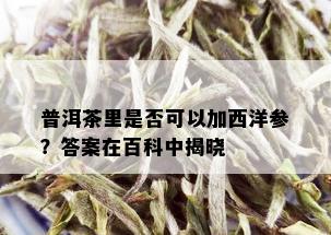 普洱茶里是否可以加西洋参？答案在百科中揭晓