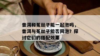 普洱和菟丝子能一起泡吗，普洱与菟丝子能否同泡？探讨它们的搭配效果